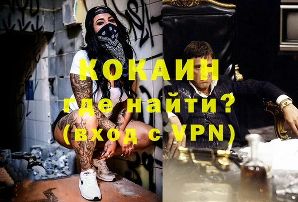 твердый Дмитриев