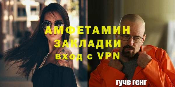 гашик Дмитров
