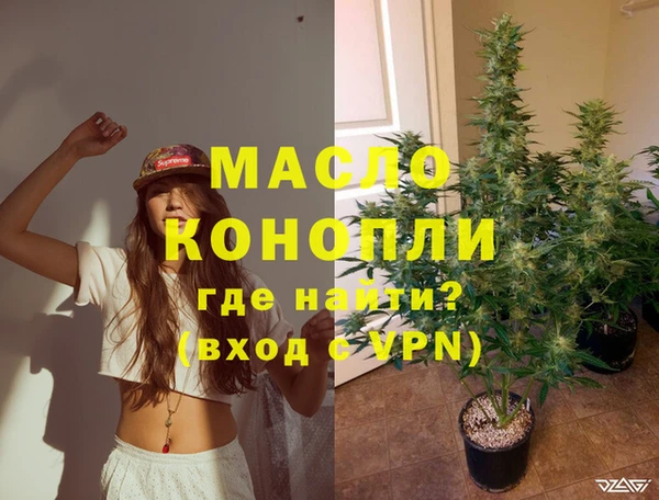 гашик Дмитров