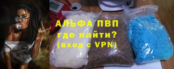 гашик Дмитров