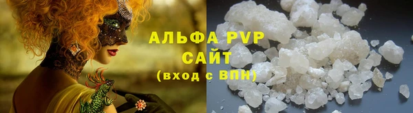 гашик Дмитров