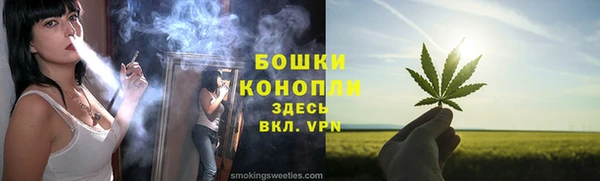гашик Дмитров