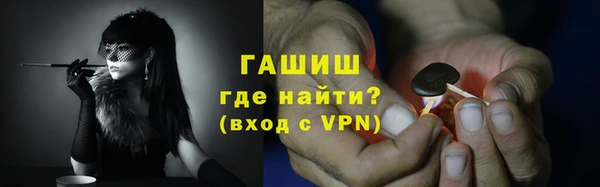 гашик Дмитров