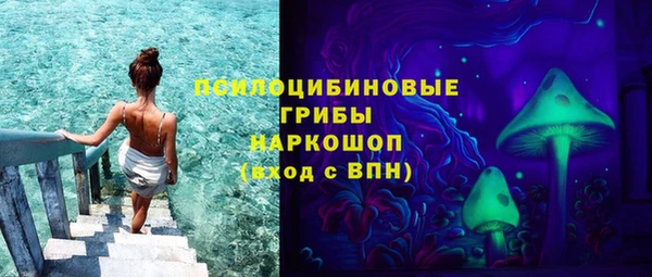 гашик Дмитров