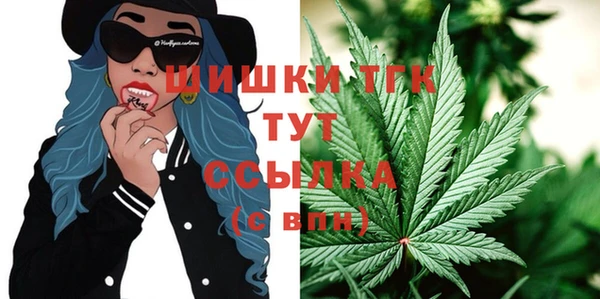 гашик Дмитров
