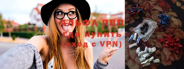 гашик Дмитров